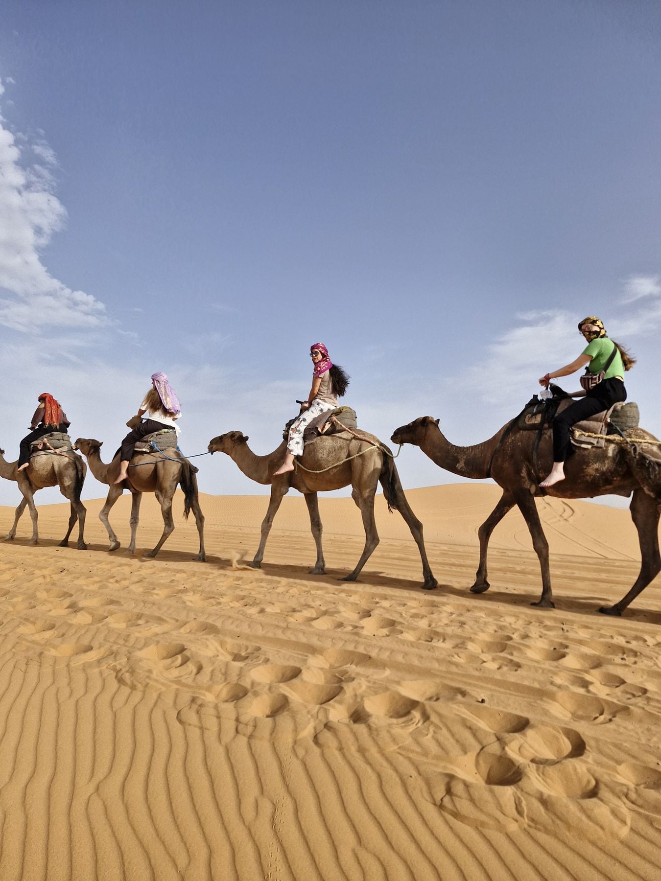 Paseo en dromedario sobre la arena ondulada de las dunas