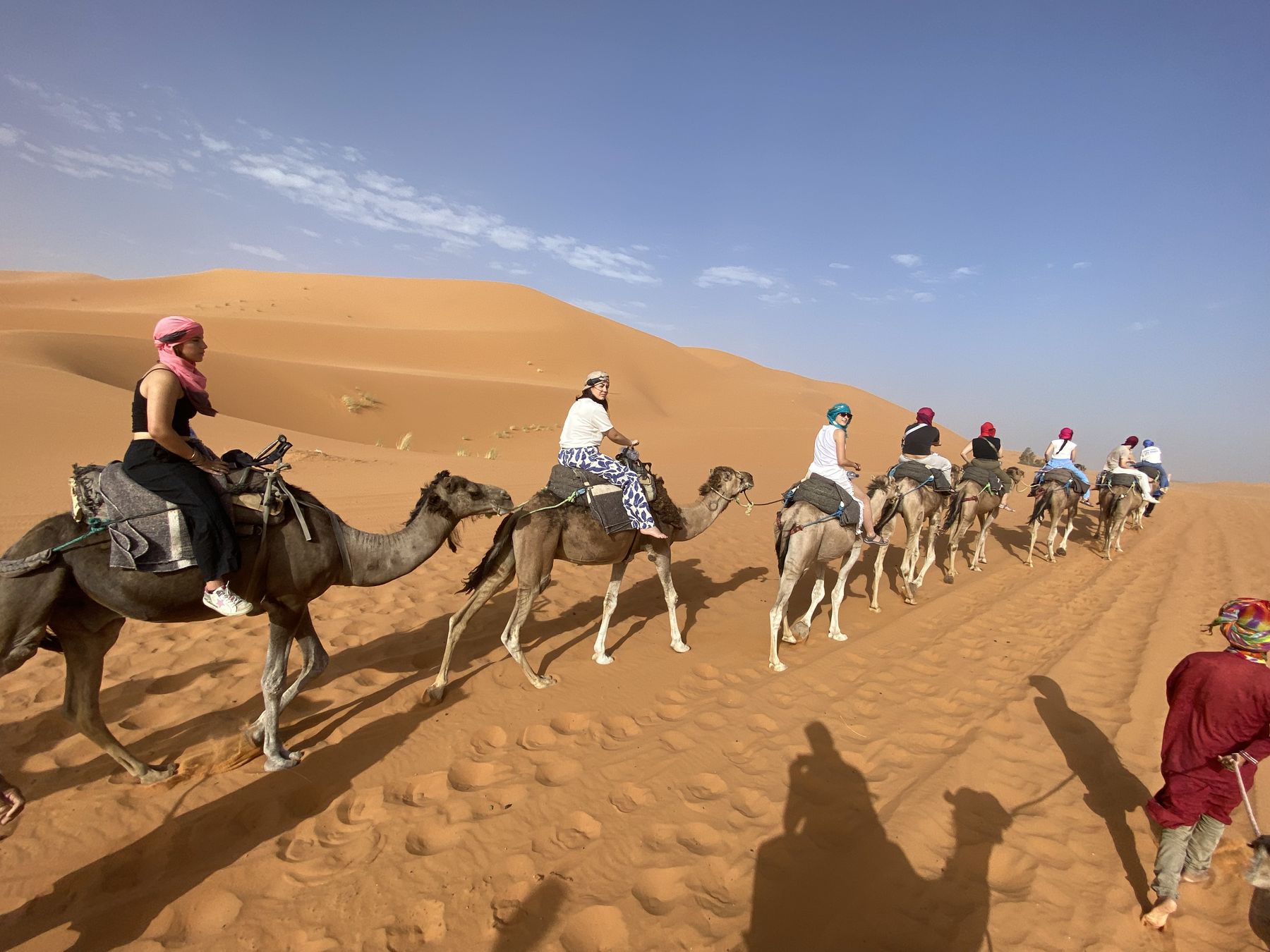 Viajeros en dromedario en fila por las dunas de arena