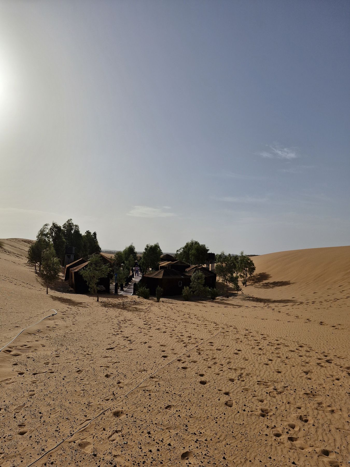 Campamento entre árboles rodeado de dunas en el desierto